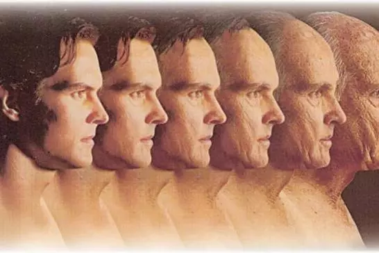 human ageing longevity and life span4